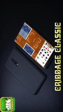 Cribbage Classic - Funny Card Game 2018游戏截图3