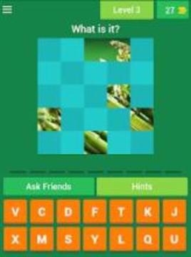 Food Guessing Game FREE游戏截图4