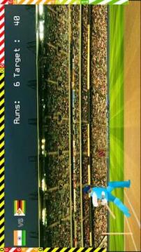 Blokstok Cricket游戏截图3