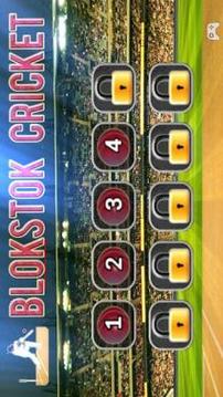 Blokstok Cricket游戏截图1