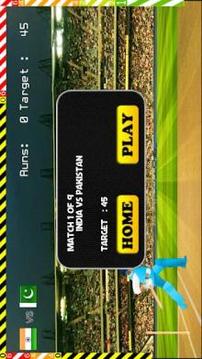 Blokstok Cricket游戏截图4