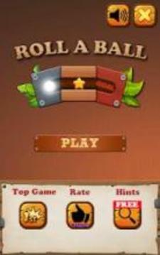 Roll a Ball: Free Puzzle Unlock Wood Block Game游戏截图4