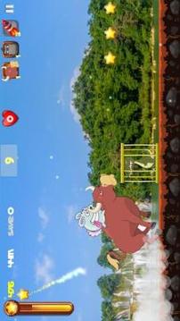 Crazy Rabbit Run Fun游戏截图4