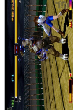 Pro Bloody Roar 4 Special Game Hint游戏截图1