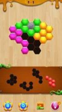 Wood Hexa Block Puzzle游戏截图1