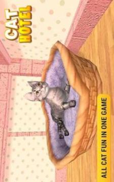 My Cat Hotel Business – Virtual Kitten Hotel游戏截图2