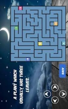 Word Maze Puzzle游戏截图4