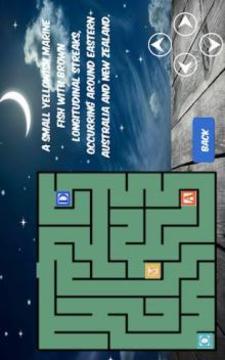 Word Maze Puzzle游戏截图1