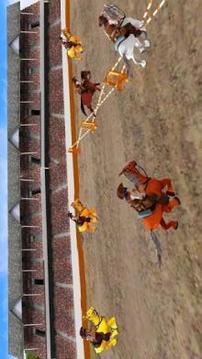 Horse Game With Arabian Horse游戏截图2
