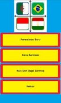 Tebak Nama Bendera Negara游戏截图4