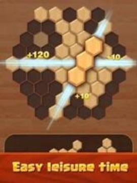 Hexagon Wood Block Puzzle游戏截图2