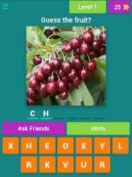 Jamaican Fruits Guess游戏截图3