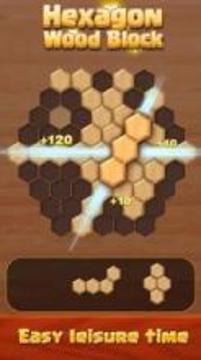 Hexagon Wood Block Puzzle游戏截图5