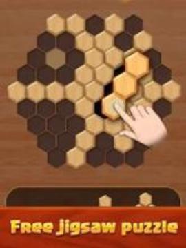 Hexagon Wood Block Puzzle游戏截图3