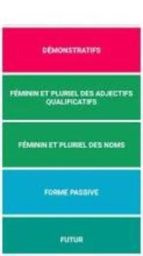 French Grammar Quize游戏截图1