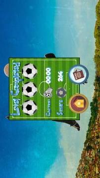 Dream League Soccer - World cup puzzle游戏截图3