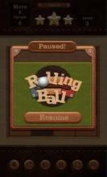 Rolling Ball Online游戏截图2