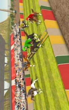 Horse Racing Derby Manager: Horse Jumping Quest 18游戏截图2