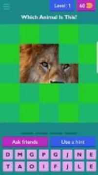 Animal Tiles Quiz Game - Guess That Animal游戏截图5