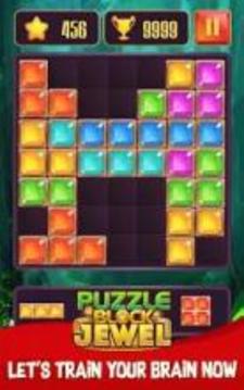 Block Jewel Puzzle - World of Block [New]游戏截图3
