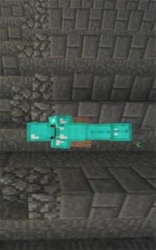 Inventory Pets Mod MCPE游戏截图1