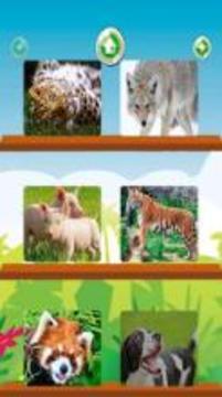 Zoo Animal Puzzle Jigsaw游戏截图2