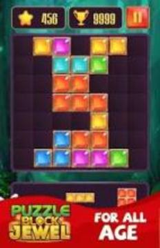 Block Jewel Puzzle - World of Block [New]游戏截图4