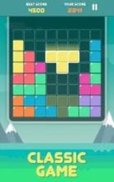 Pro Block Puzzles游戏截图3