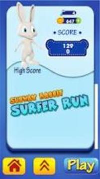 Pet Subway Runner - Rabbit Rush游戏截图1