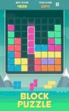 Pro Block Puzzles游戏截图4