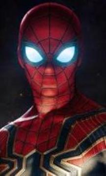 SpiderMan Wallpaper & Puzzle游戏截图1