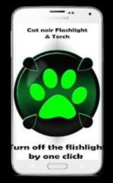 Miraculous Flashlight and torch Cat noir游戏截图1