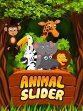 Animal Slider游戏截图2
