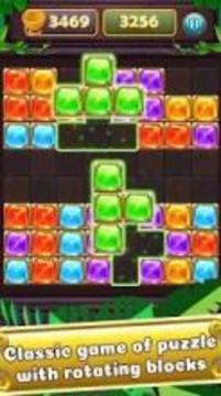Jewel Block puzzle :8x8游戏截图1