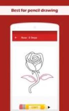 How To Draw a Rose Step by Step游戏截图3