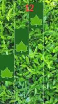 Green Leaf Piano Tiles游戏截图4