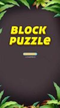 Block Puzzle HD游戏截图3