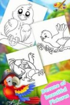 Birds Coloring Book 2018! Free Paint Game游戏截图5