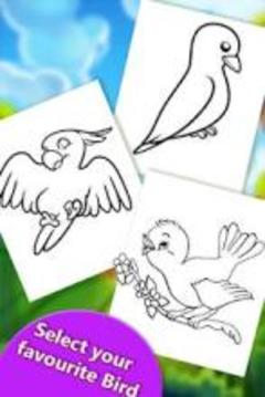 Birds Coloring Book 2018! Free Paint Game游戏截图2