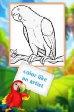 Birds Coloring Book 2018! Free Paint Game游戏截图1
