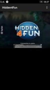 Hidden 4 fun游戏截图1