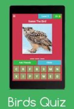 Birds Quiz : Guess The Birds游戏截图4