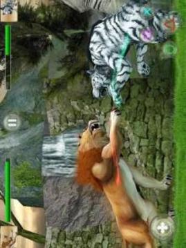 Big Cat Figthing 2游戏截图4