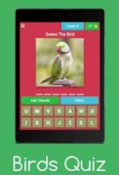 Birds Quiz : Guess The Birds游戏截图3