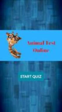 Animal Checking游戏截图4