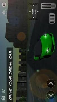 RRO Drive 3D游戏截图3