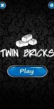 Twin Bricks游戏截图3