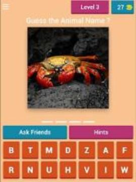 Guess the Animal Quiz游戏截图2