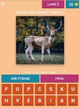Guess the Animal Quiz游戏截图1