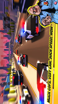 Adrenaline Rush Miami Drive游戏截图4